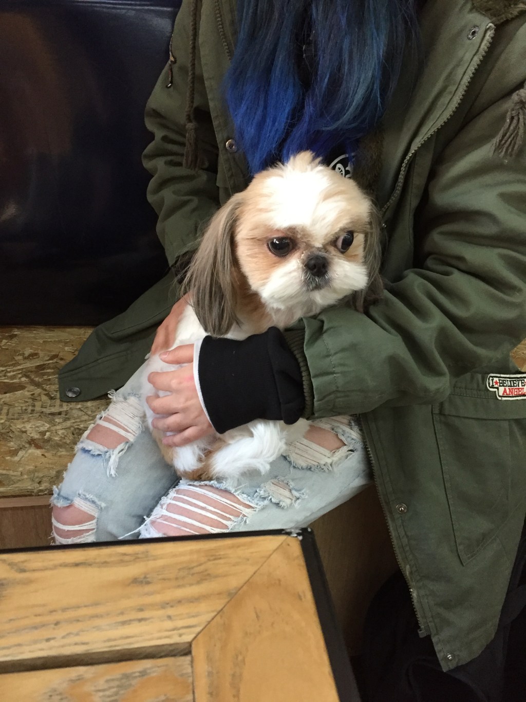 Cafe Pawz //&nbsp;Seoul