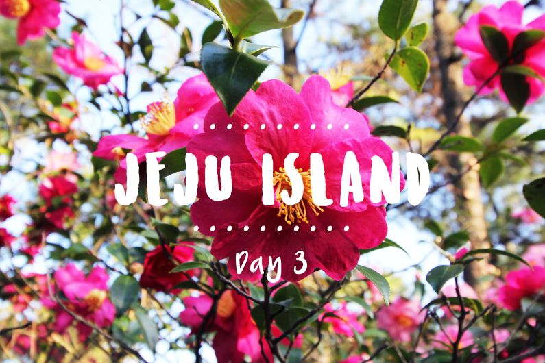 Jeju Island – Day&nbsp;3